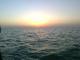 Отдых на Азовском море в Геническе